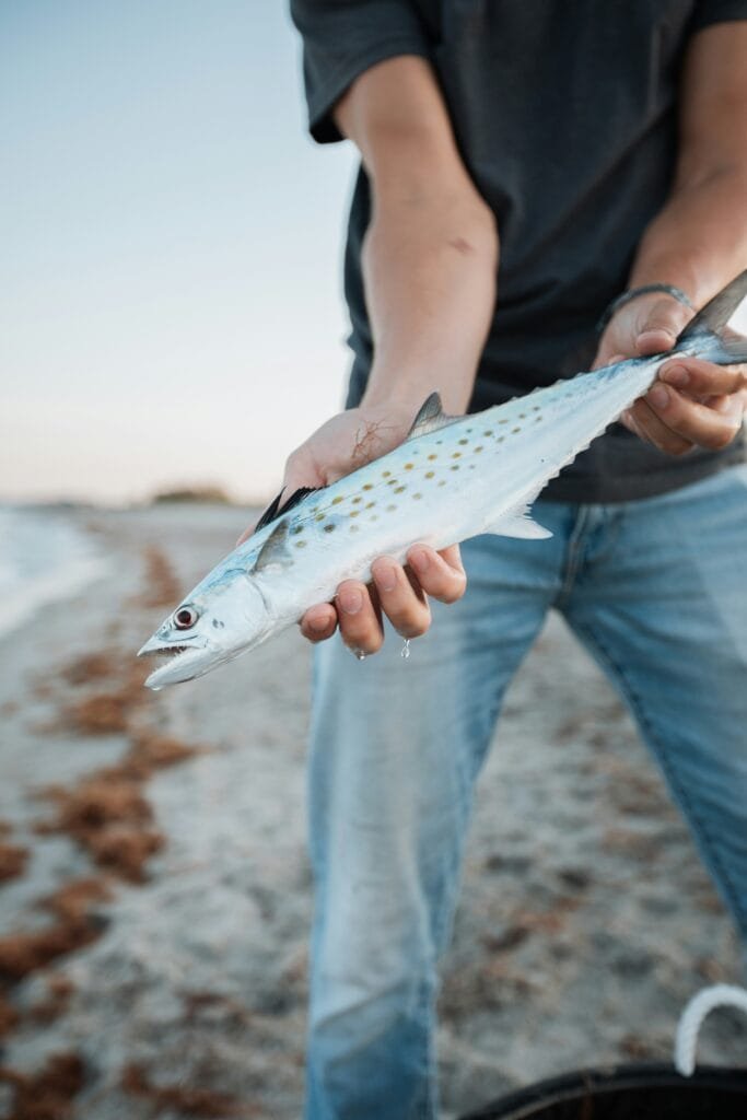 a man holding a fish on the beach
